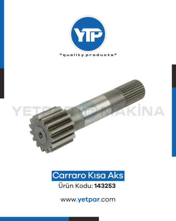 143253 KISA AKS DİŞLİ