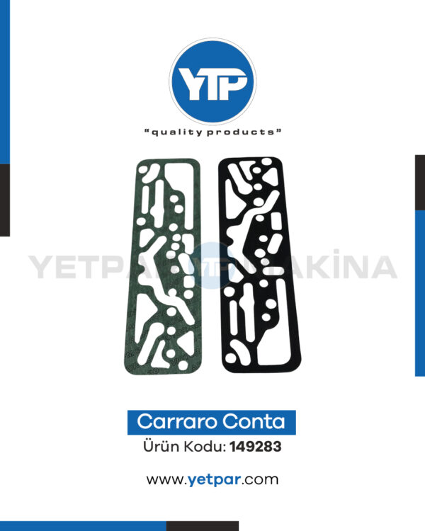 149283 CARRARO CONTA