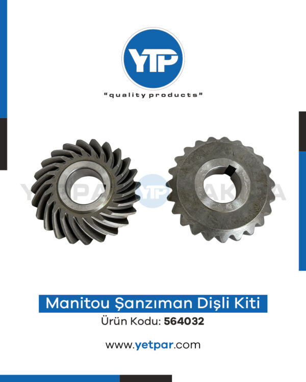 564032 DANA ŞANZIMAN DİŞLİ KİTİ
